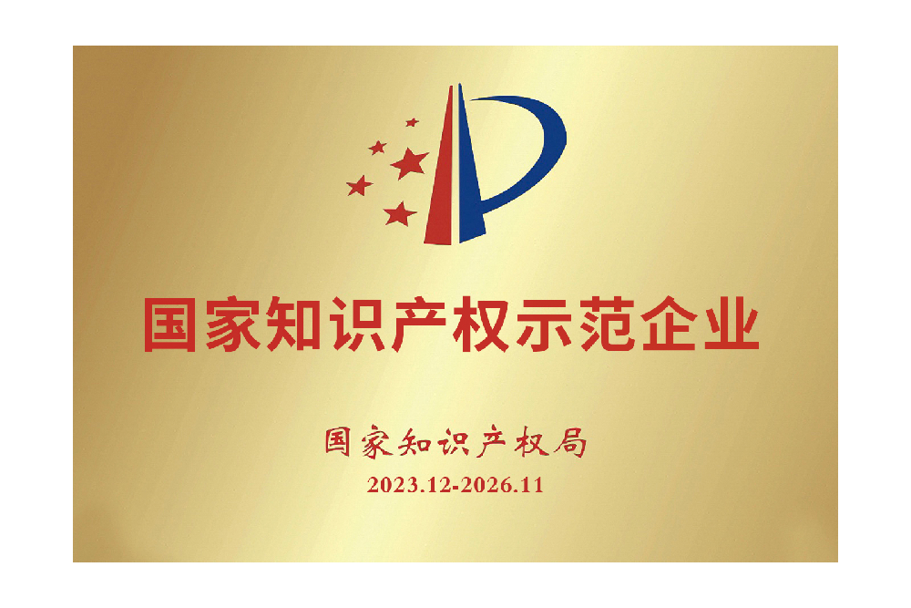 国家知识产权示范企业